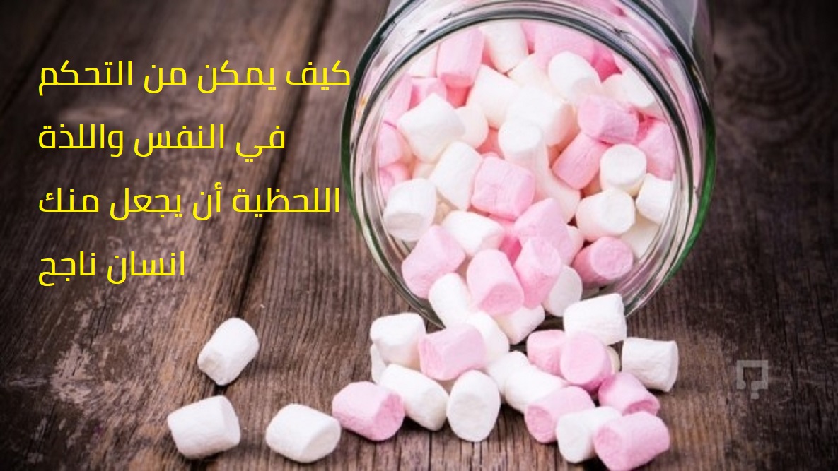 Read more about the article تجربة المارشملو