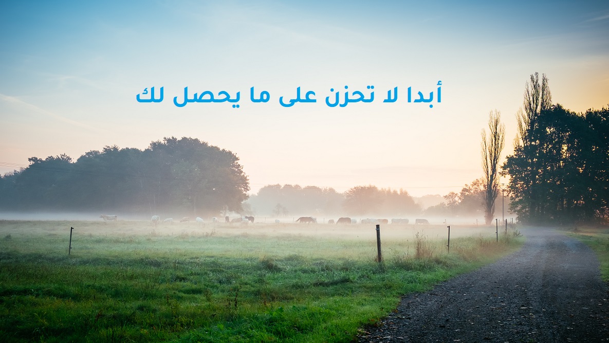 Read more about the article قصة عن قدر الله لنا